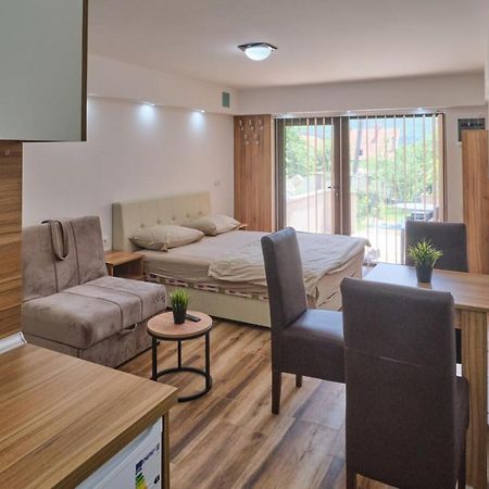Apartmani Tvins Sokobanja Zewnętrze zdjęcie