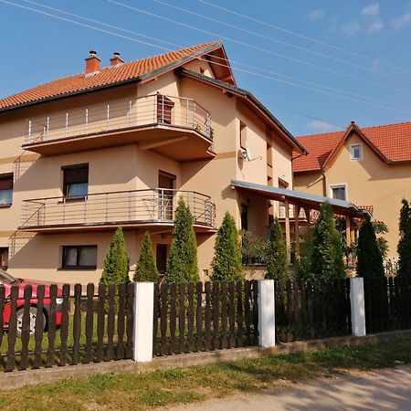 Apartmani Tvins Sokobanja Zewnętrze zdjęcie