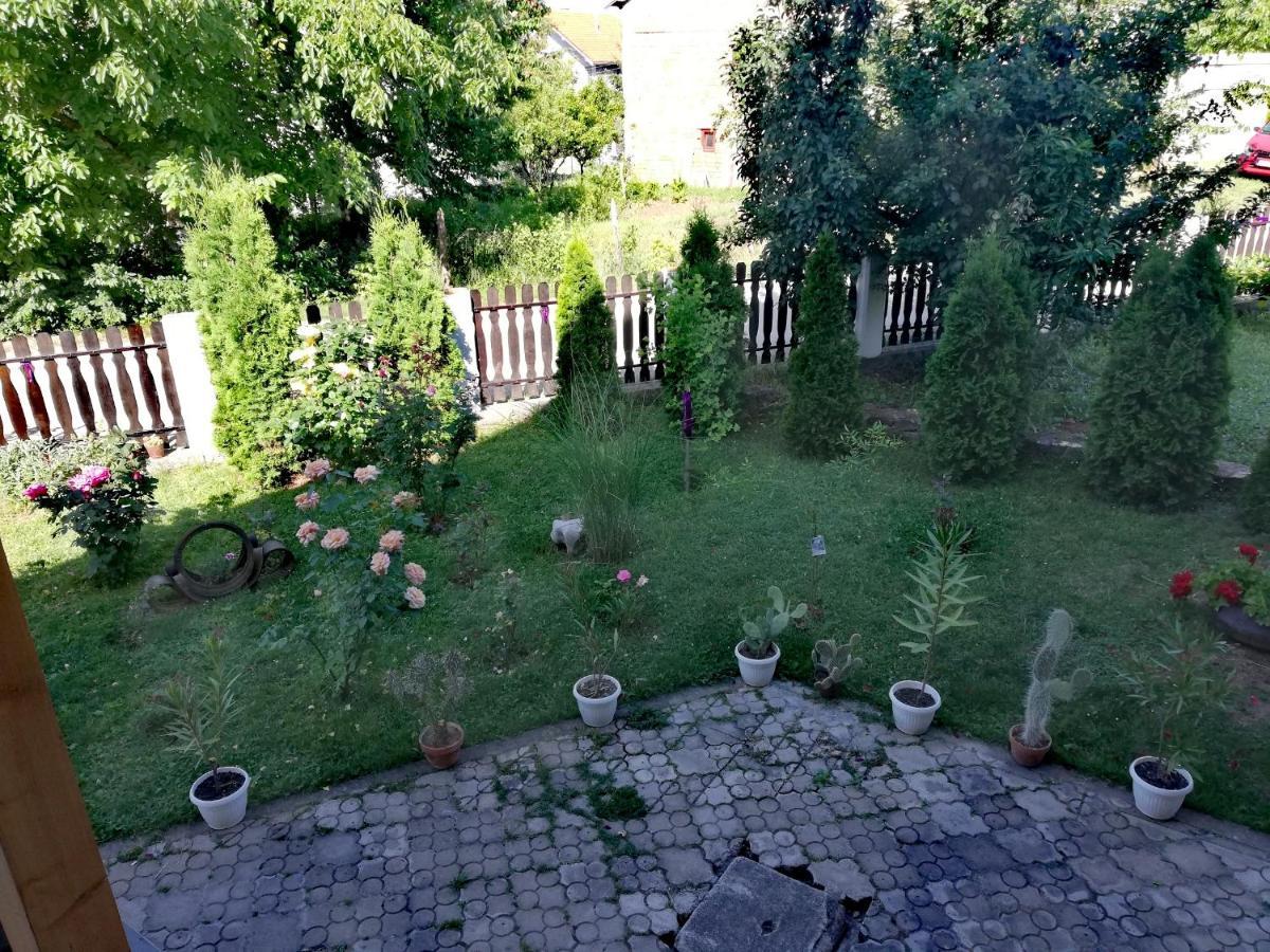 Apartmani Tvins Sokobanja Zewnętrze zdjęcie