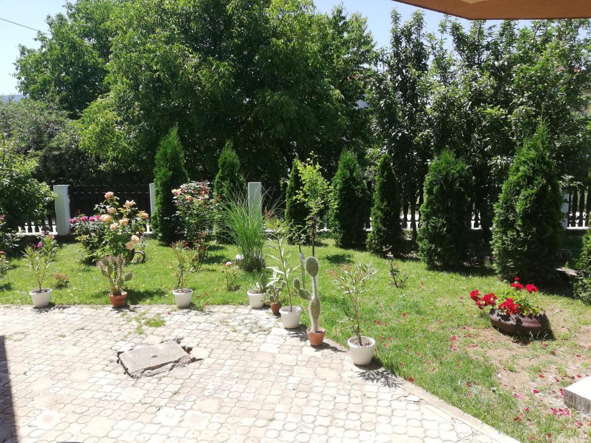 Apartmani Tvins Sokobanja Zewnętrze zdjęcie