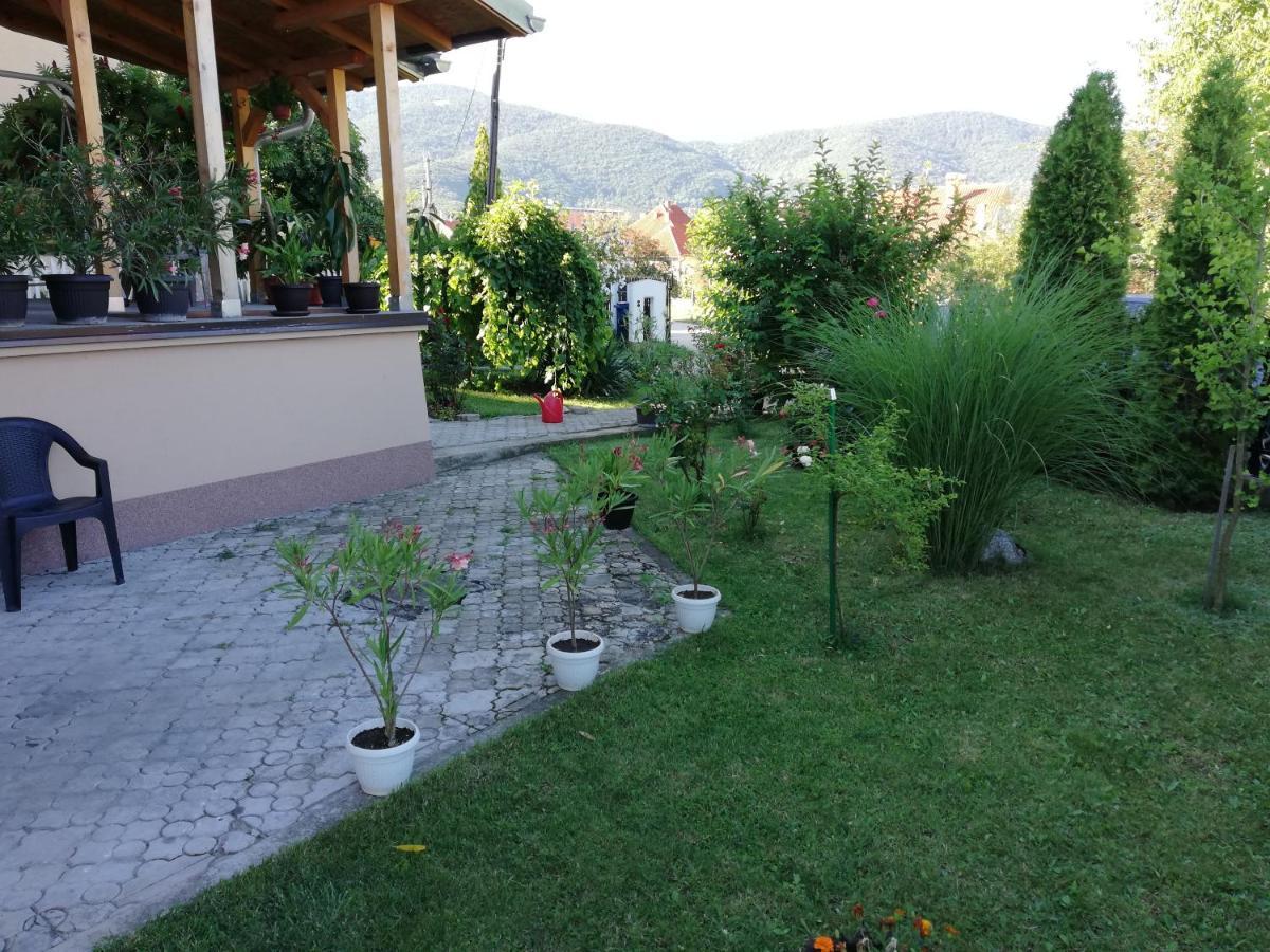 Apartmani Tvins Sokobanja Zewnętrze zdjęcie