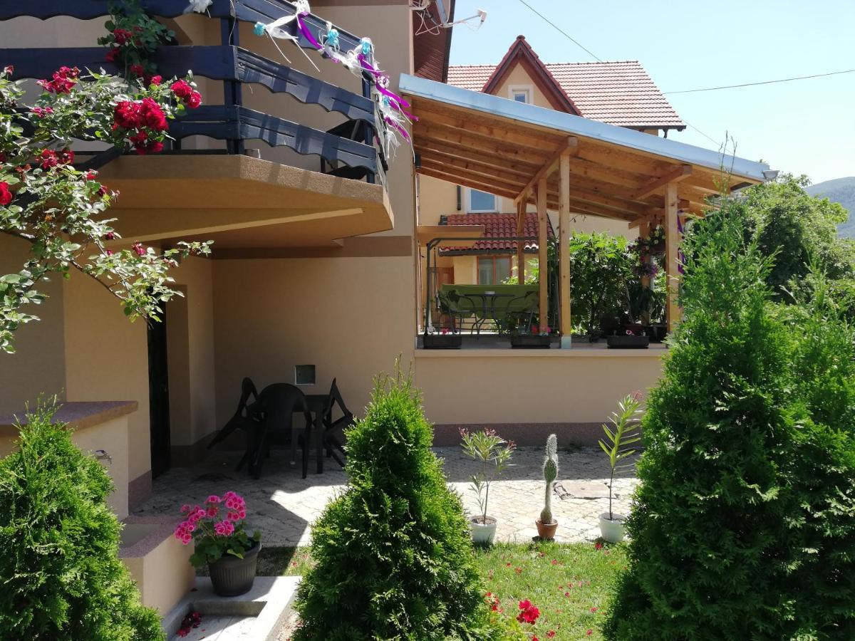 Apartmani Tvins Sokobanja Zewnętrze zdjęcie