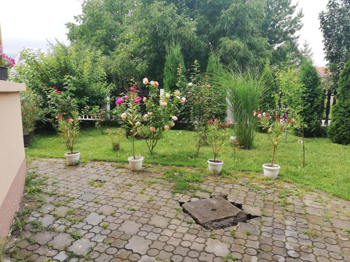 Apartmani Tvins Sokobanja Zewnętrze zdjęcie
