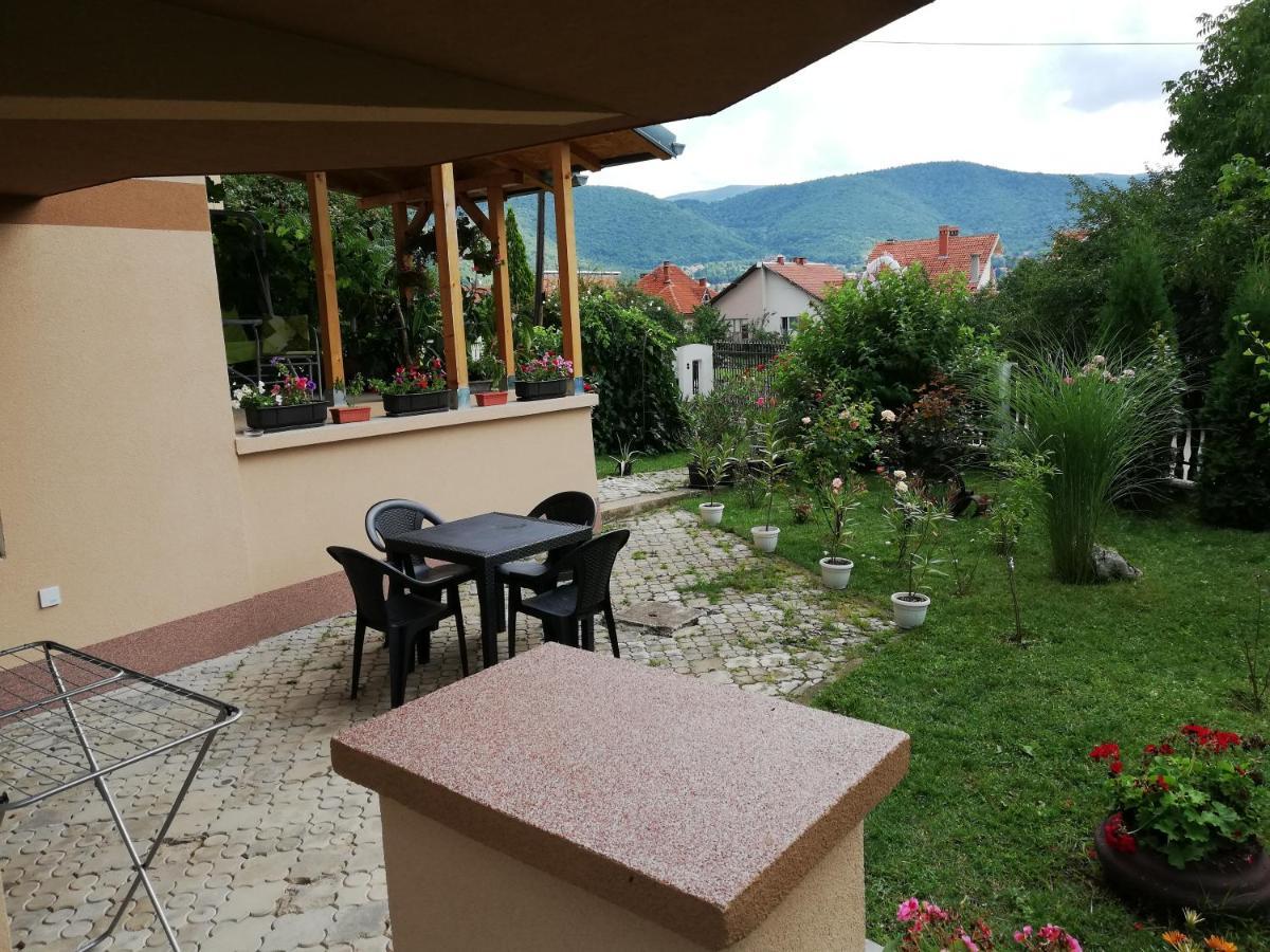 Apartmani Tvins Sokobanja Zewnętrze zdjęcie