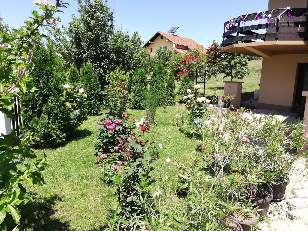 Apartmani Tvins Sokobanja Zewnętrze zdjęcie