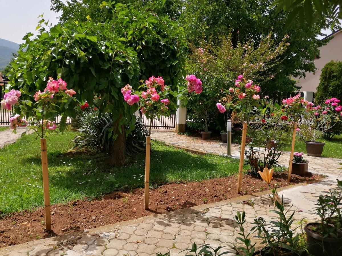 Apartmani Tvins Sokobanja Zewnętrze zdjęcie