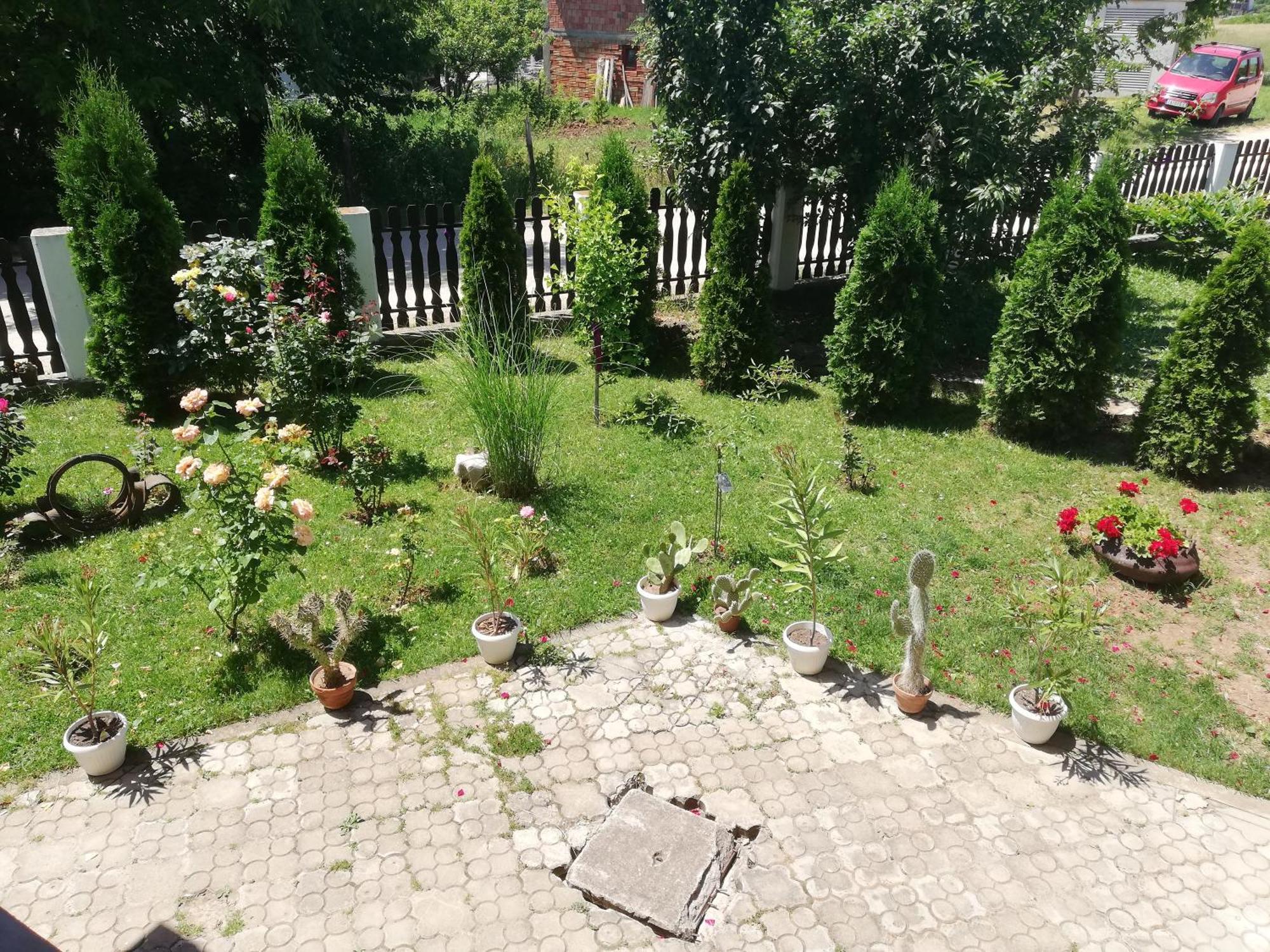 Apartmani Tvins Sokobanja Zewnętrze zdjęcie